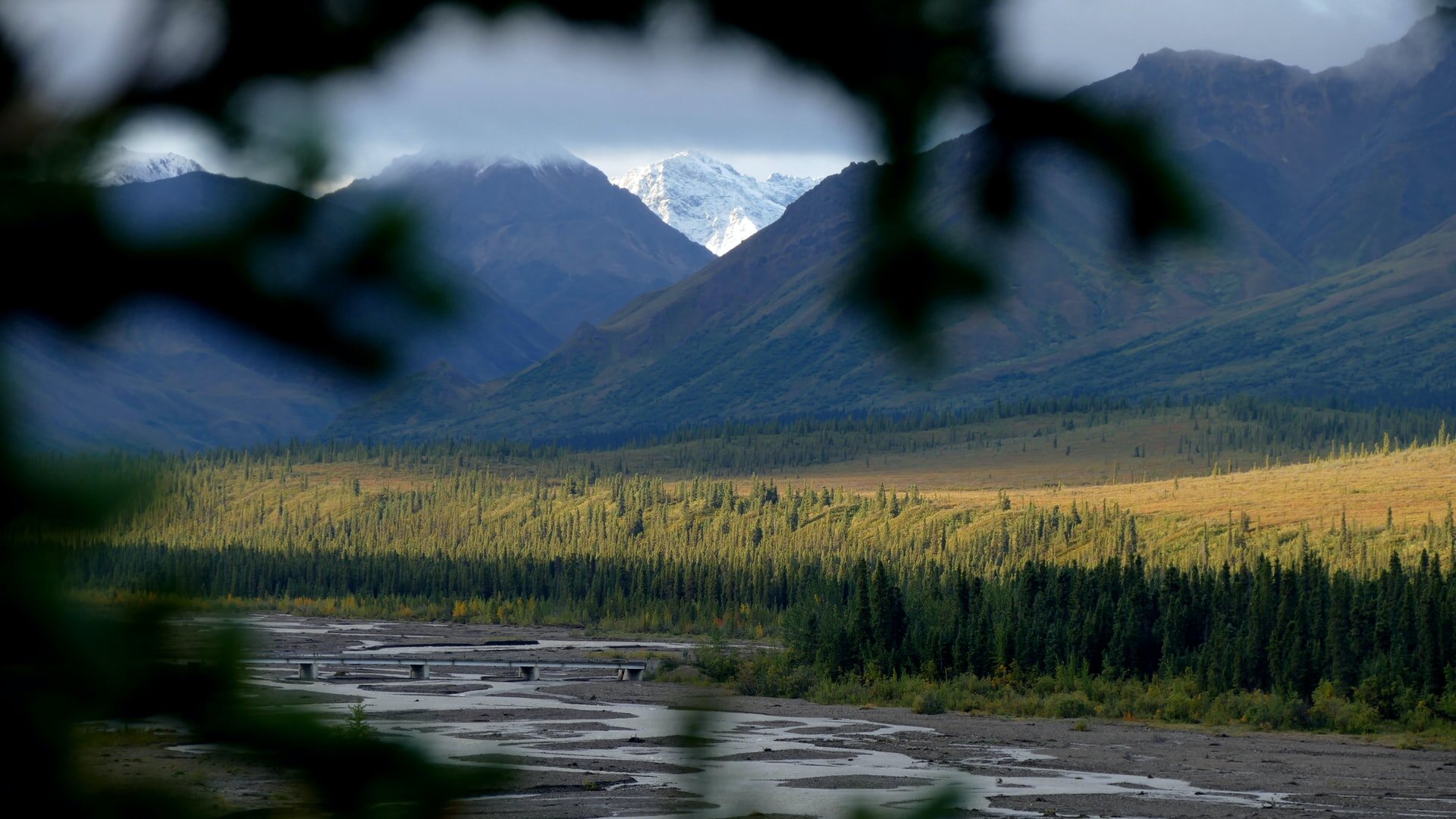 Denali National Park