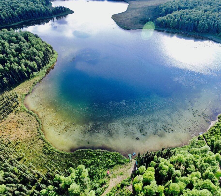 vivid blue lake amongst pine trees