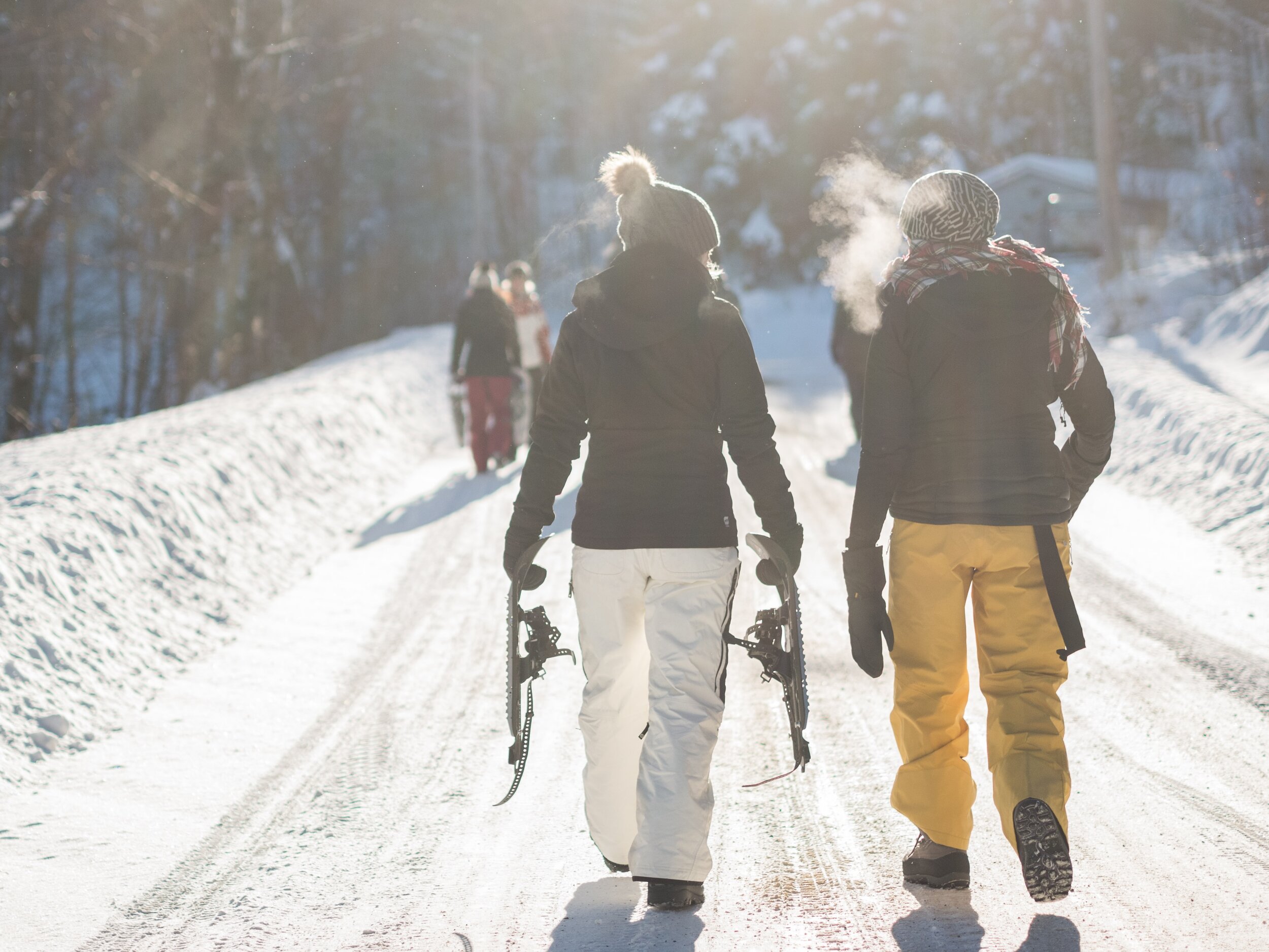 Snow ski cross country